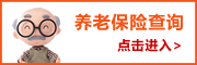 平顶山个人养老保险查询系统